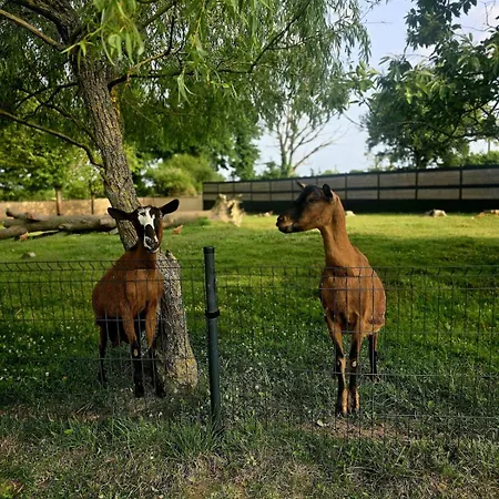 Cosy - Le Pal - Piscine - Chevaux Et Nature Δωμάτια σε οικογενειακή κατοικία Vaumas